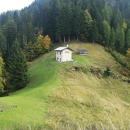 B&B Ai Pini Tiarno di Sopra Dış mekan fotoğraf