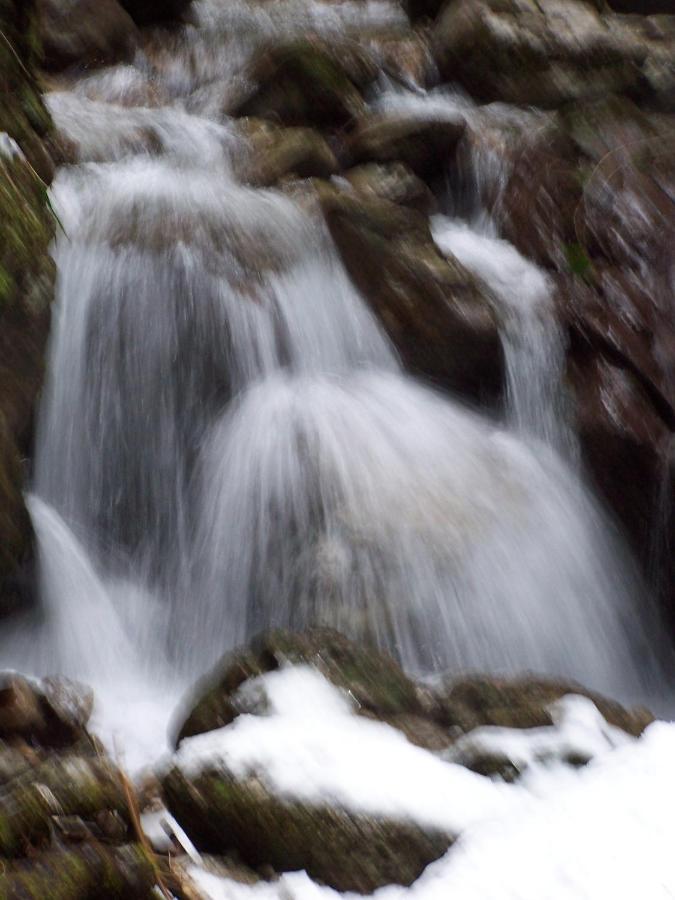 B&B Ai Pini Tiarno di Sopra Dış mekan fotoğraf