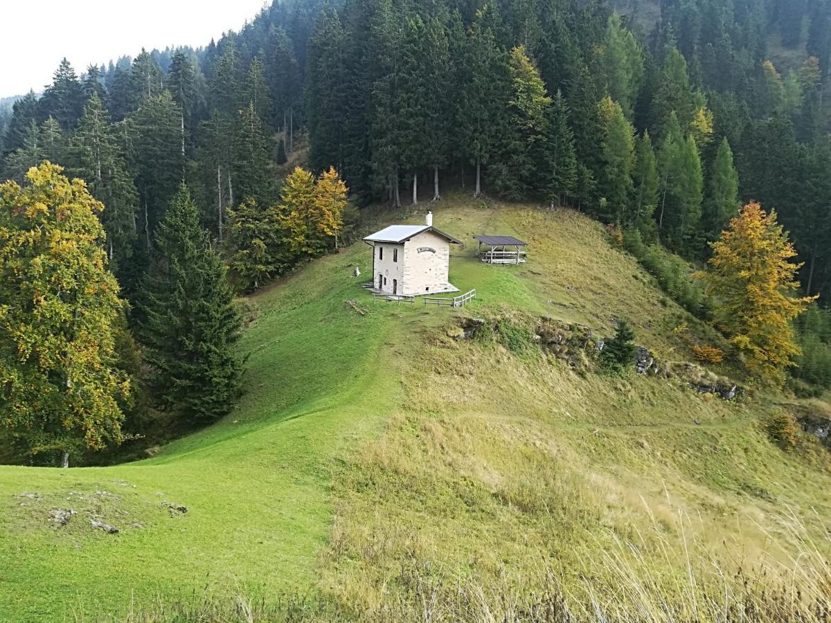 B&B Ai Pini Tiarno di Sopra Dış mekan fotoğraf