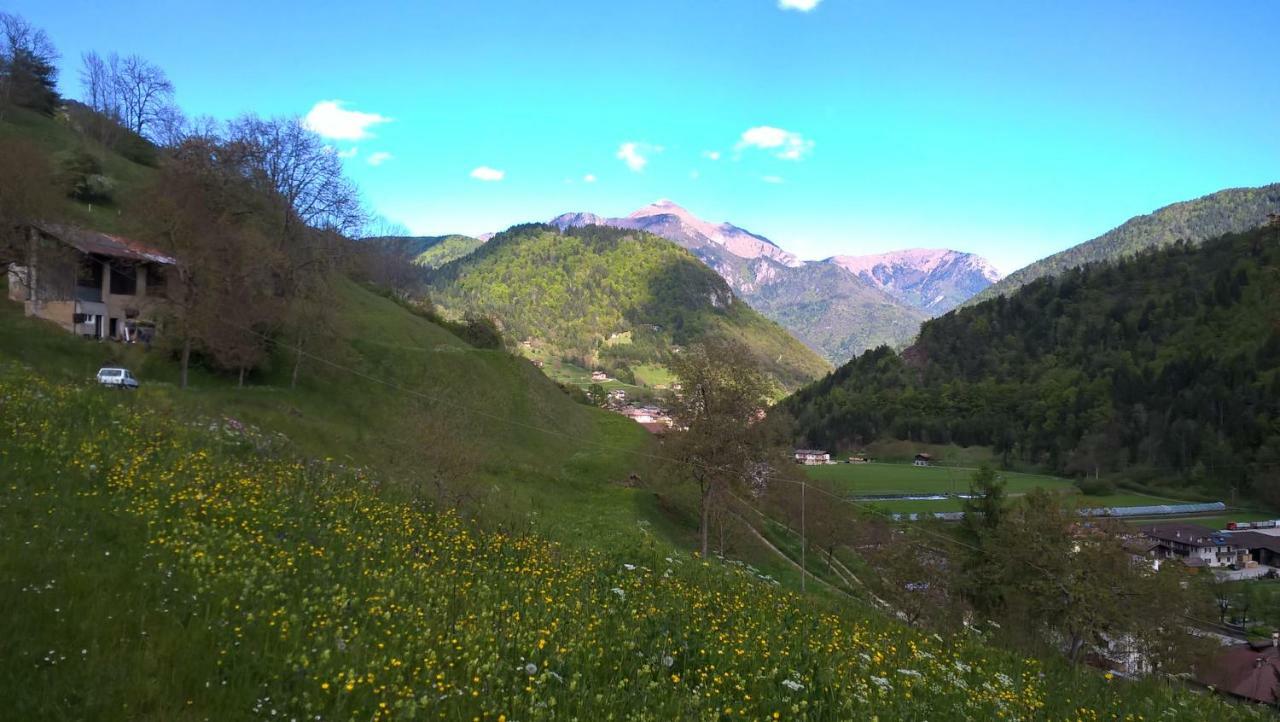 B&B Ai Pini Tiarno di Sopra Dış mekan fotoğraf